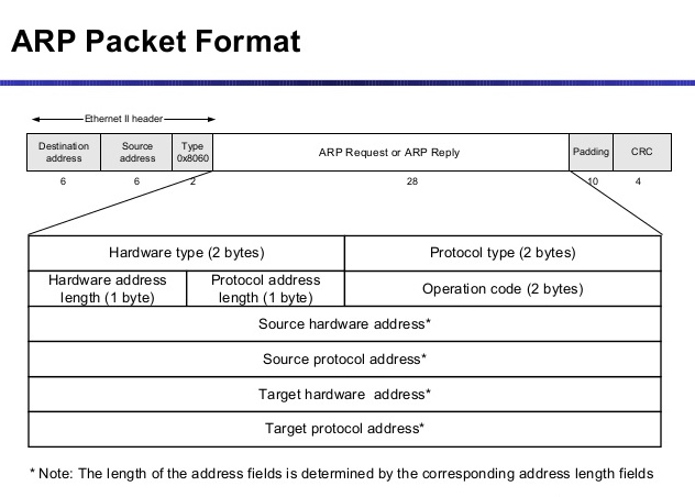ARP header
